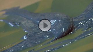 Play video on YouTube about Original Printmaking